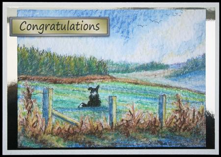 A4 View of Dreams Border Collie Dog in Landscape by Carol Bath 