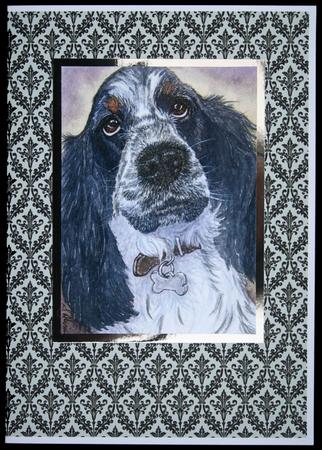 A4 Spaniel by Carol Bath 