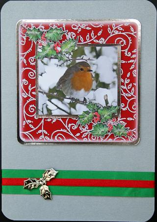 Pretty Robin Card by Carol Bath 