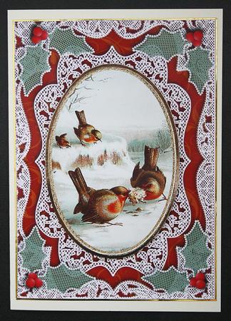 Robins Tug of Love A4 Lace Picture Sheet by Carol Bath 