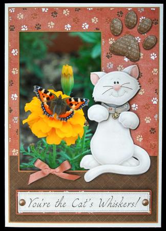 Cat's Whisker's Photo Card Front with Decoupage by Carol Bath 