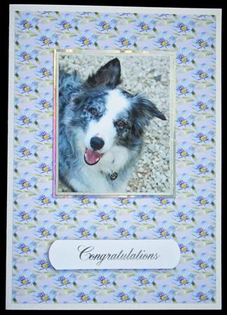 Violet Spring Background Sheet by Carol Bath 