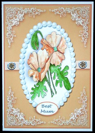 Cameo Pearl Poppies by Carol Bath 
