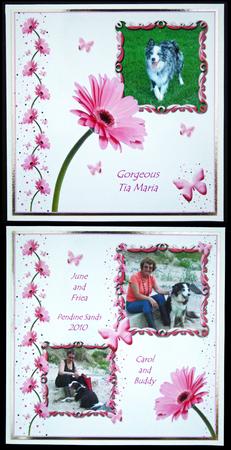Pink Gerbera & Butterfly Wishes 12x12inch Scrap Pages by Carol Bath 