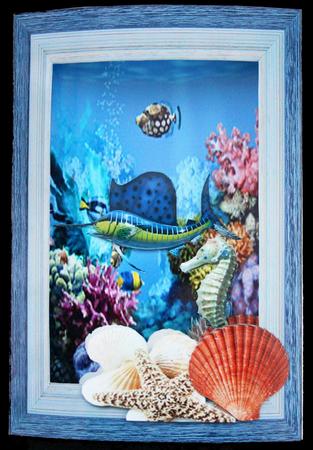 Underwater 3D Inside Out Card Seahorses Starfish by Carol Bath 