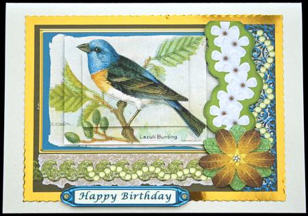 Lazuli Bunting by Carol Bath 