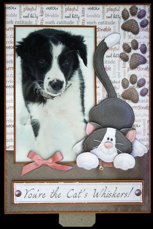 Cat's Whisker's Photo Card Front Special Friend by Carol Bath 