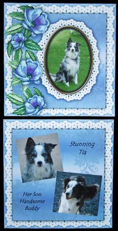 Blue Floral Frame Scarpbooking Quick Page Kit by Carol Bath 