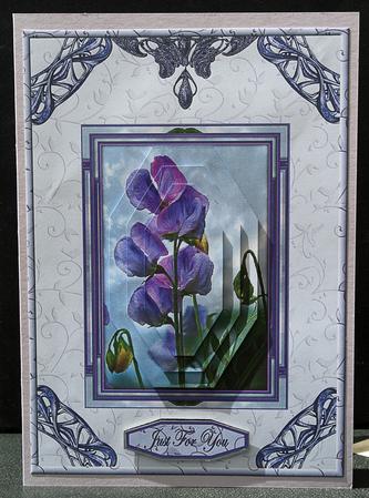 Vintage Frame Sweetpea by Carol Bath 