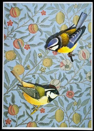 William Morris Fruit Wallpaper by Carol Bath 