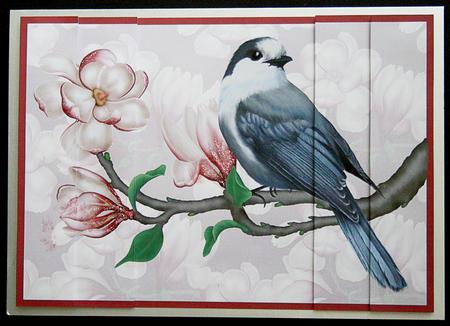 Blue Jay with Magnolias by Carol Bath 
