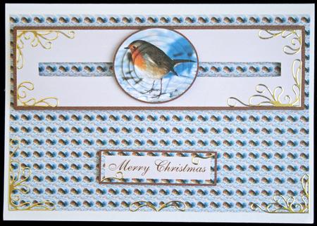 Penny Slider Robin by Carol Bath 