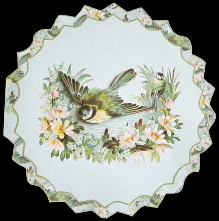 Bird and Flower by Carol Bath 