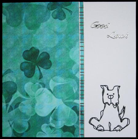 The Luck of the Irish Paper Pack by Carol Bath 