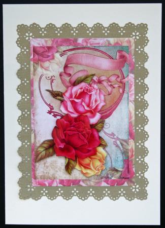 Roses Galore by Carol Bath 