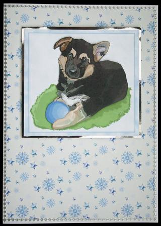 Snowflakes 3 by Carol Bath 