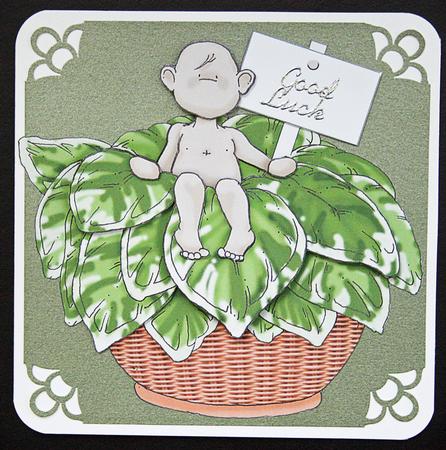 Hosta Baby Doodles by Carol Bath 