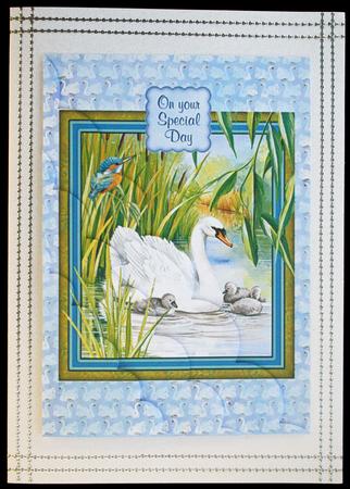 Meet the Family Wtf True Friends 6 by 6 Card Front by Carol Bath 