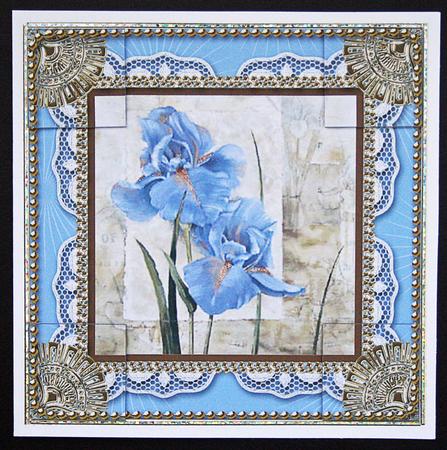 Blue Iris 8x8inch Lace N Gold Picture Sheet by Carol Bath 