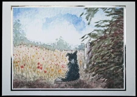 Border Collie Dog Meditating on Summer Meadow by Carol Bath 