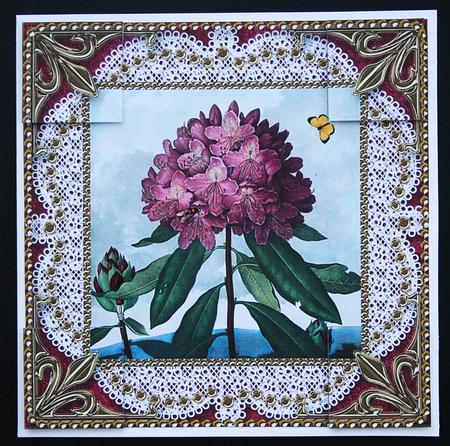 Pink Butterfly Floral Lace N Gold 8x8inch Picture Sheet by Carol Bath 