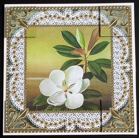 White Jasmine Lace N Gold 8x8inch Picture Sheet by Carol Bath 