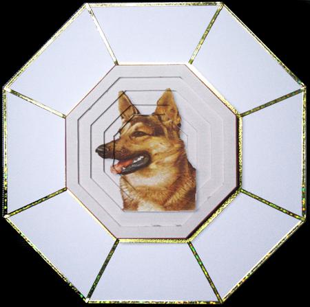 Alsation Dog Two in One Pyramid Sheet by Carol Bath 