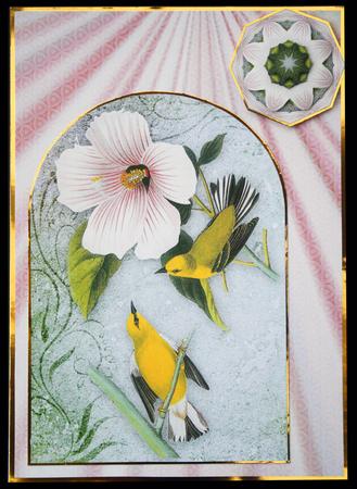 Vintage Birds 15.2, Blue-winged Warbler by Carol Bath 