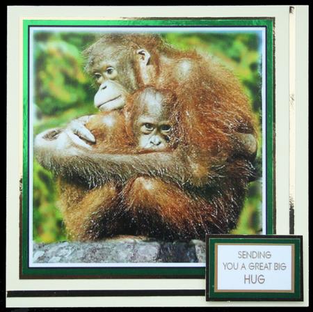 Sending You a Great Big Hug 2 8x8 by Carol Bath 