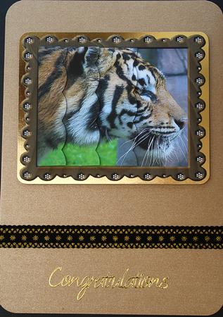 Tiger Left Side Pyramid by Carol Bath 