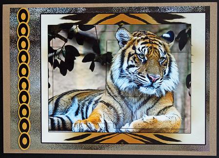 Intertwined Pyramid New Technique Tigers by Carol Bath 