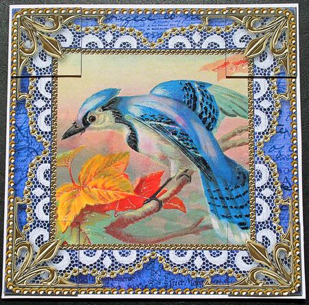 Colourful Kingfisher Lace N Gold 8x8inch Picture Sheet by Carol Bath 