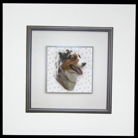 Australian Shepherd Portrait by Carol Bath 