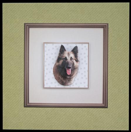 Belgian Shepherd Dog Tervueren Portrait 3D Decoupage by Carol Bath 