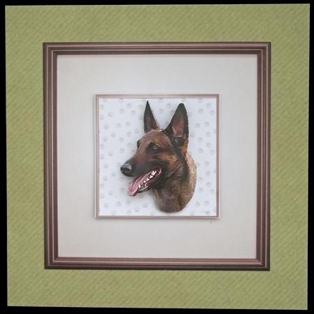 Belgian Shepherd Dog (malinois) Portrait 3D Decoupage by Carol Bath 
