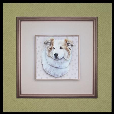 Border Collie Portrait 3D Decoupage by Carol Bath 