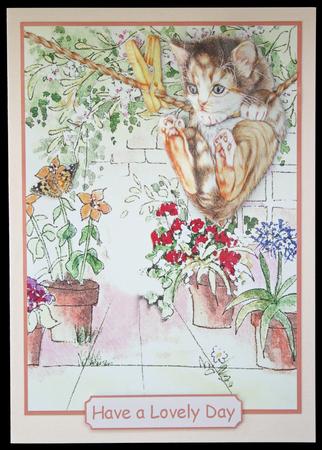 I Want That Butterfly! by Carol Bath 