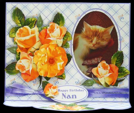 C-thru Easel 3D Card Kit - Apricot Roses & Ginger Cat by Carol Bath 