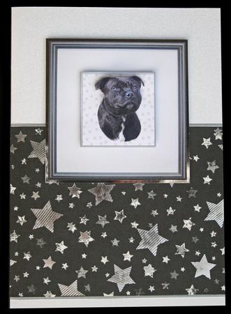 Staffordshire Bull Terrier Portrait 3D Decoupage by Carol Bath 