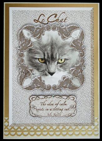 Lechat 2, Calmness A5 Pyramid Card by Carol Bath 