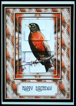 American Robin by Carol Bath 