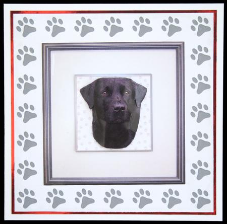 Labrador Portrait by Carol Bath 