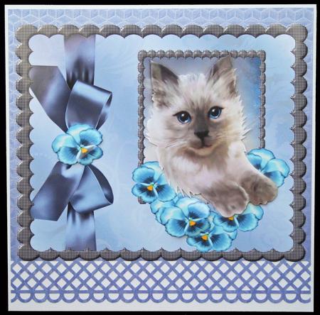 Cute Kitten Bleu Eyes -  by Carol Bath 