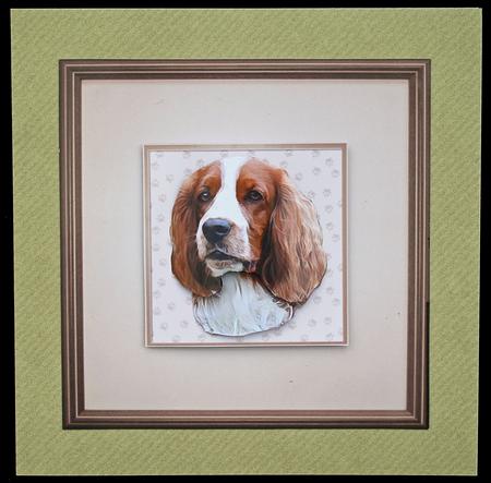 Welsh Springer Spaniel Portrait by Carol Bath 