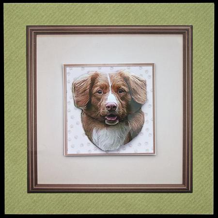 Nova Scotia Duck Tolling Retriever Portrait by Carol Bath 
