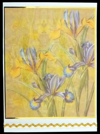 Understated Elegance 2 by Carol Bath 