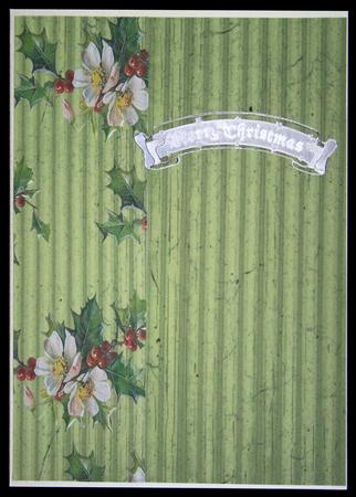 Holly Days Backing 2 by Carol Bath 