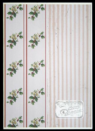 Holly Days Backing 3 by Carol Bath 