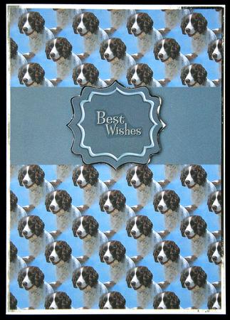 Springer Spaniel Scene Background Sheet by Carol Bath 