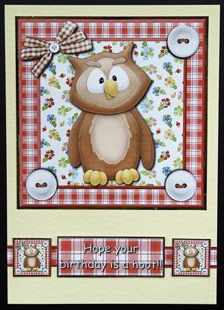 What a Hoot 8x8 Topper by Carol Bath 